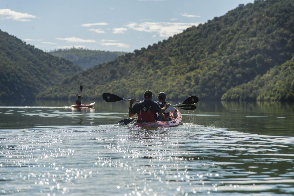 KAYAK Experience Review: Nature Awaits You - Itinerary Details