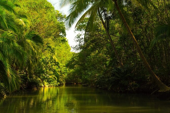 Kayak Mangrove Tour in Manuel Antonio - Participant Information and Considerations