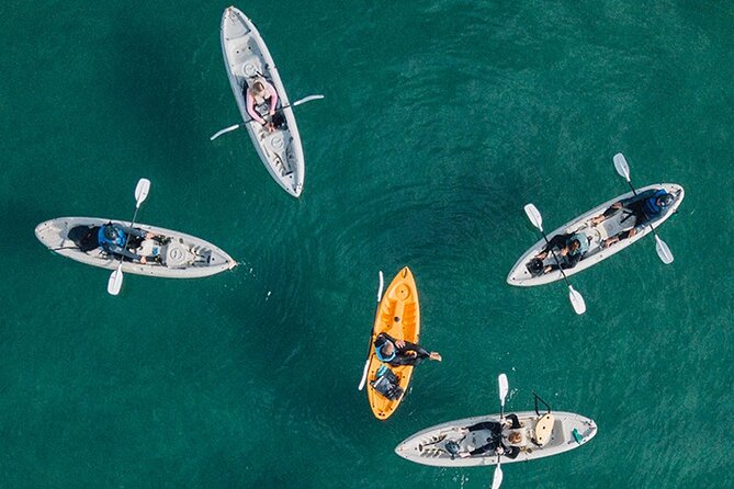 Kayak Rental for Two People in La Jolla - Meeting Location and Check-in