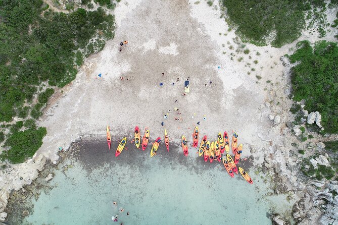 Kayak Tour and Snorkelling From Fornells - Highlights of the Excursion