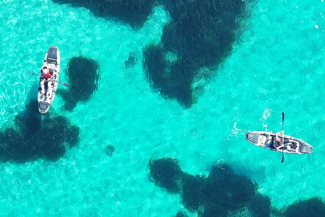 Kayak Tour in Golfo Aranci With Aperitif and Dolphin Watching - Aperitif and Dolphin Sightings