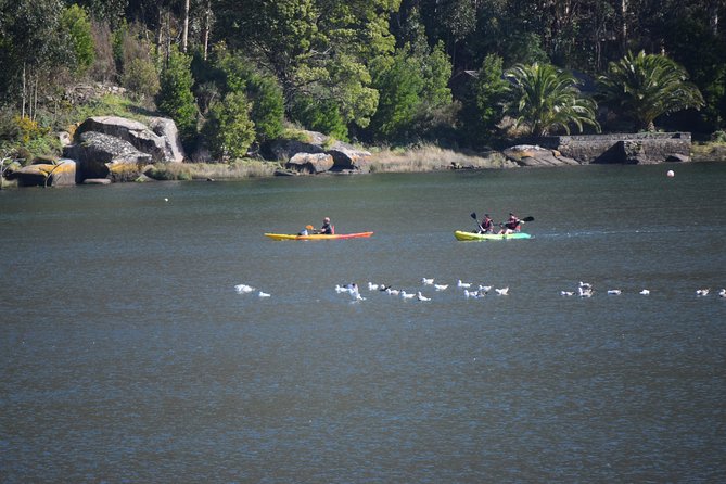 Kayaking in Ezaro Waterfall - Meeting and Pickup Details