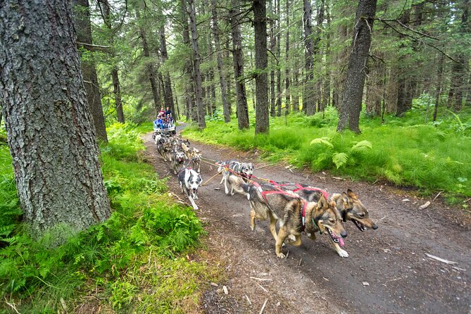 Kennel Tour and Dog Sled Ride - Pricing and Inclusions