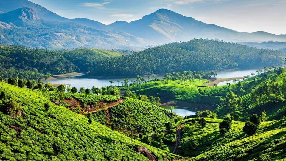 Kerala Honeymoon Tour 7D/6N - Itinerary Highlights