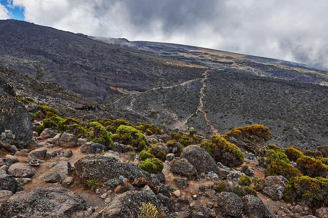 Kilimanjaro Climb, Rongai Route (7-Day) - Itinerary Highlights