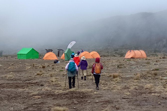 Kilimanjaro Experience 7 Days Lemosho Route - Day-by-Day Itinerary of the Lemosho Trek