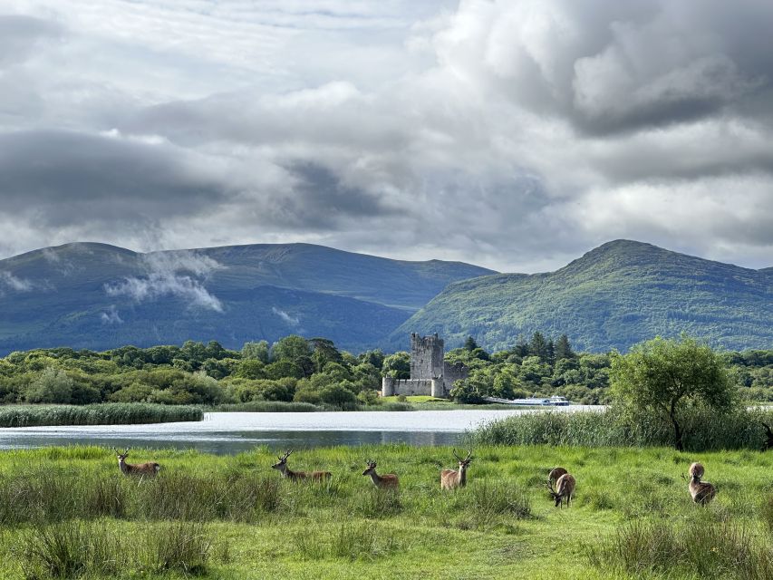 Killarney: Killarney National Park Private Tour - Itinerary Highlights