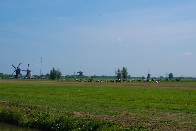 Kinderdijk Area Cycling Tour - Exploring the Charming Village