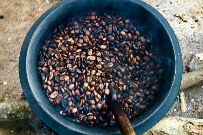 Kingstone Asilia and Coffee Tour - Coffee Production Process