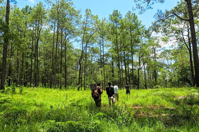 Kirirom National Park Private Day Tour From Phnom Penh - Exploring Kirirom National Park