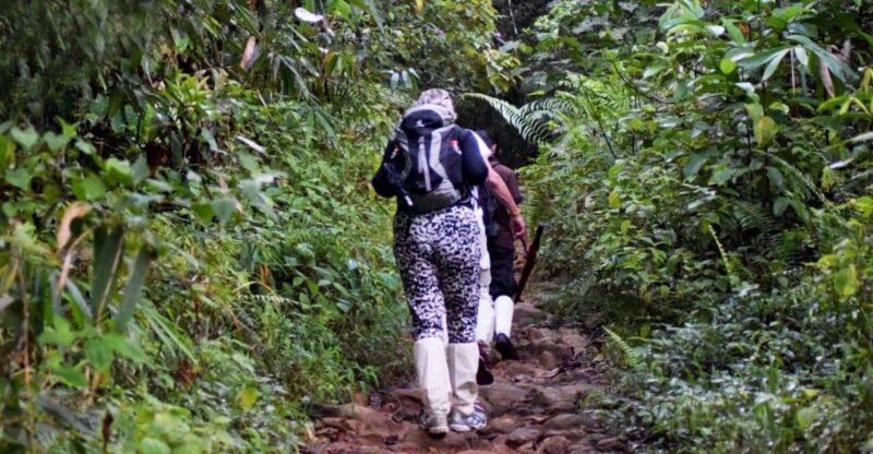 Kitulgala: Private Guided Bird Watching and Trekking Tour - Experience and Highlights