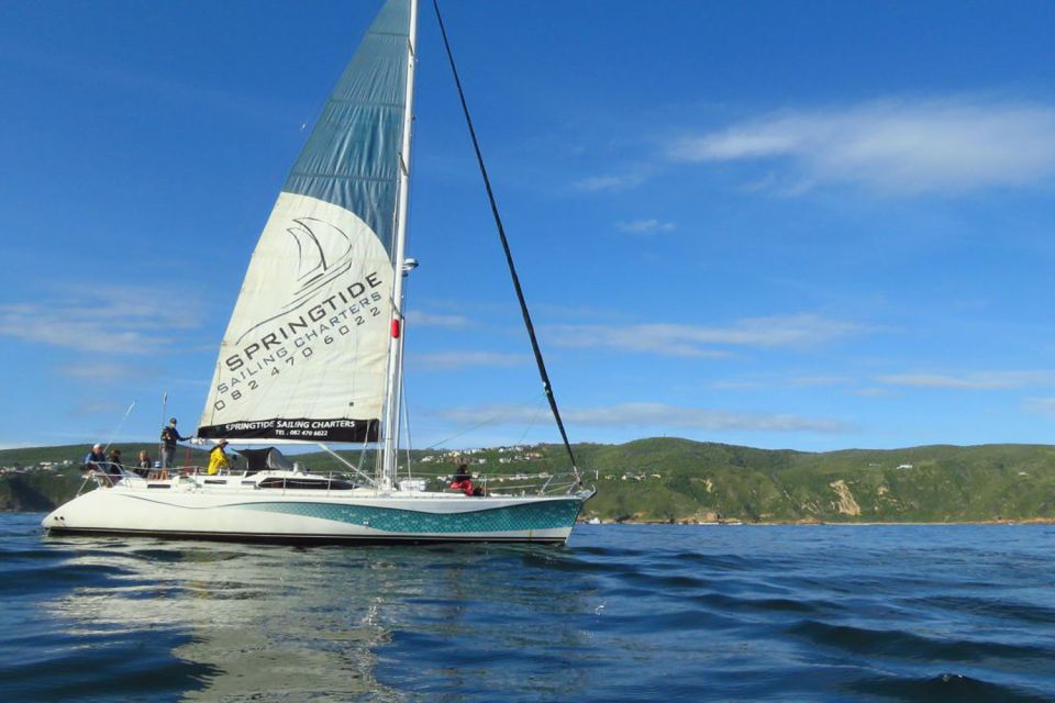 Knysna: 1.5-Hour Sailing Experience - Highlights of the Cruise