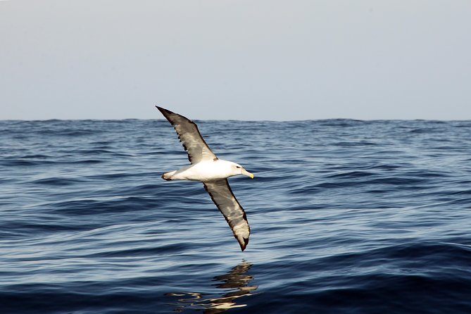 Knysna Marine Life & Garden Route Coastline Experience - Inclusions and Amenities