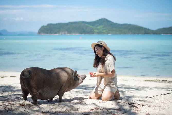 Kohsamui.Tours - Pig Island Snorkeling Eco Tour by Speed Boat - Inclusions and Amenities