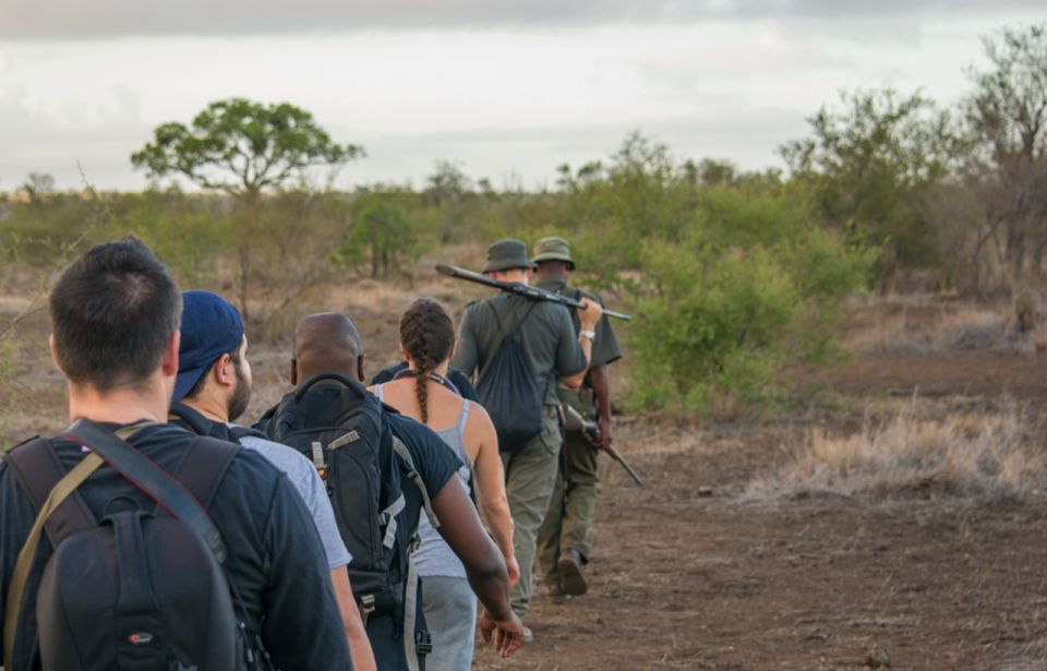 Kruger National Park: 3-Hour Walking Safari - Exploring Krugers Remote Regions