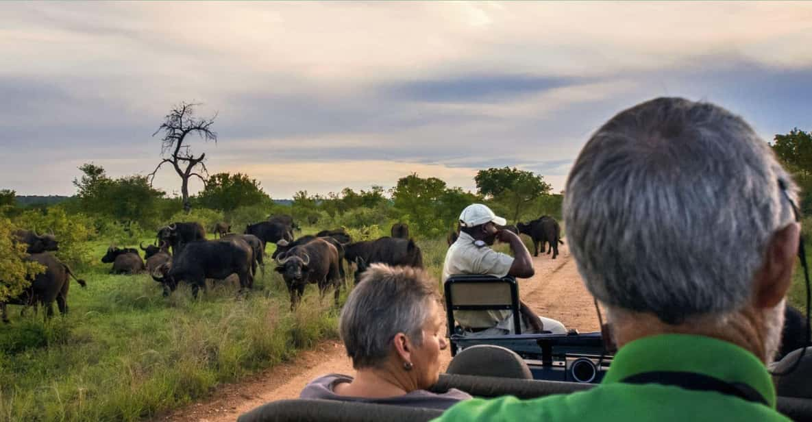 Kruger National Park 4 Day Safari Fr Johannesburg & Pretoria - Itinerary Highlights