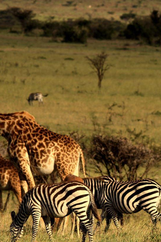 Kruger National Park & Blyde River Canyon 4 Day Safari - Itinerary Highlights