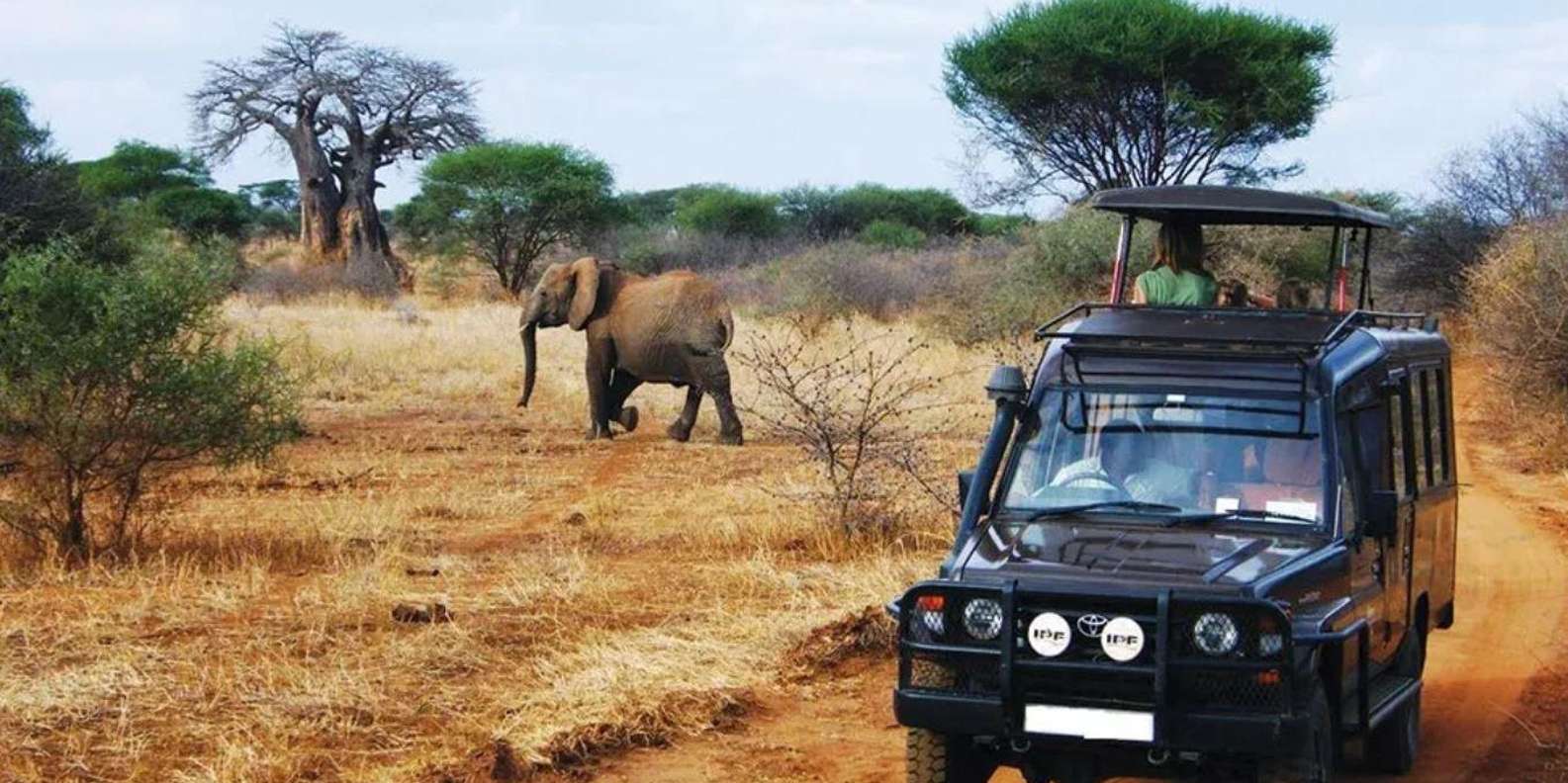 Kruger National Park & Blyde River Canyon 4 Day Safari - Daily Itinerary and Activities