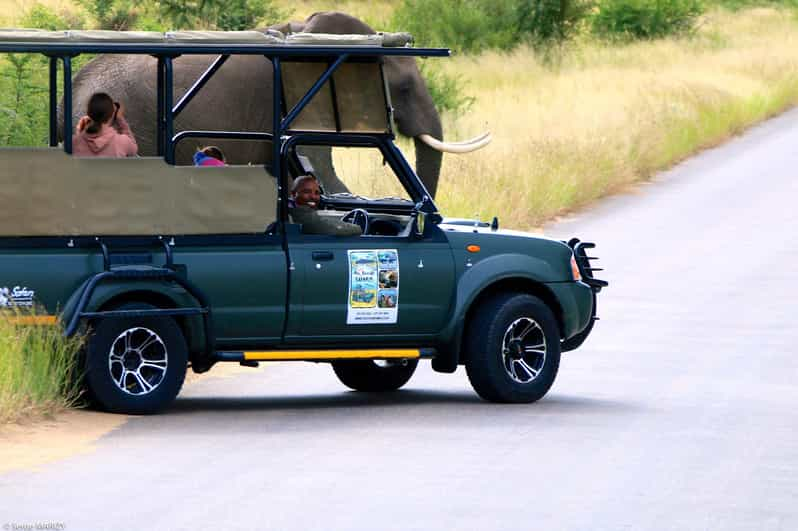 Kruger National Park - Full Day Safari (HAZYVIEW) - Highlights of the Safari