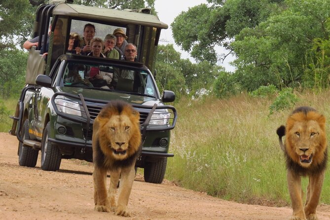 Kruger National Park Sunrise Morning Private Safari - Wildlife Spotting Opportunities