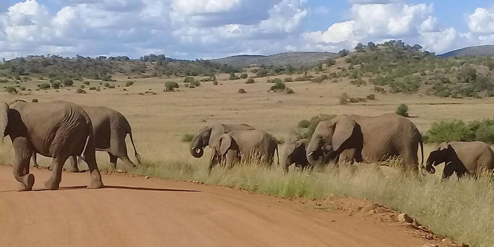 Kruger National Park Tour 3day/2 Nights (Open Safari Truck) - Spotting the Big Five