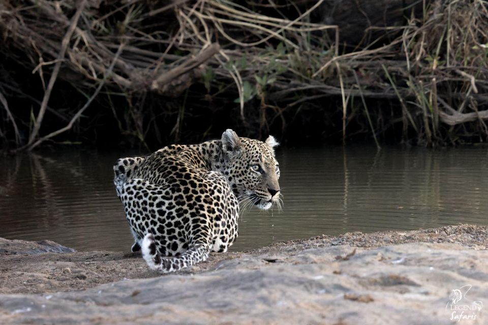 Kruger Safari Tour: Morning Half Day - Pricing Details