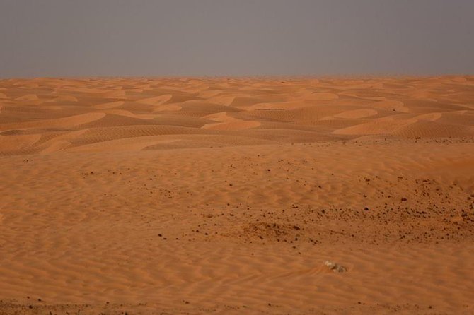 Ksar Ghilane 1 Day: the Hot Spring and the Homestay - Exploring the Desert Landscape