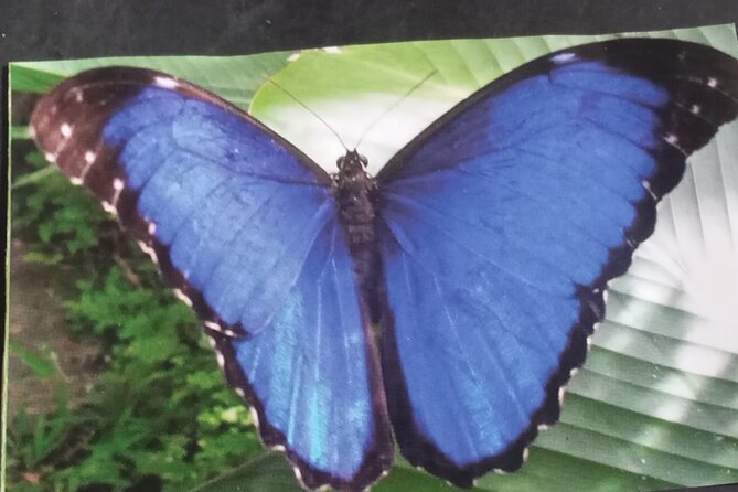 Kukamas Tribe, Butterfly Preserve & Sport Piranha Fishing - All Tickets Included - Inclusions