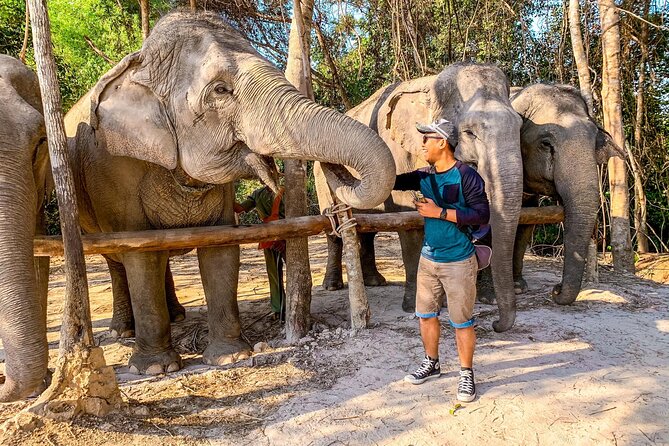 Kulen Elephant Forest by Private Tour - Tour Details and Itinerary