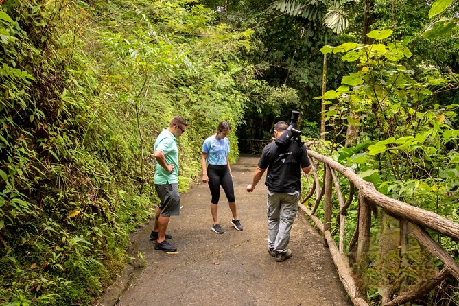La Fortuna: Arenal Hanging Bridges Hiking Tour - Tour Highlights and Features