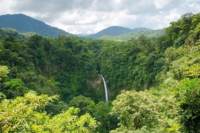 La Fortuna Waterfall Guided Hike Experience - Waterfall Features and Activities