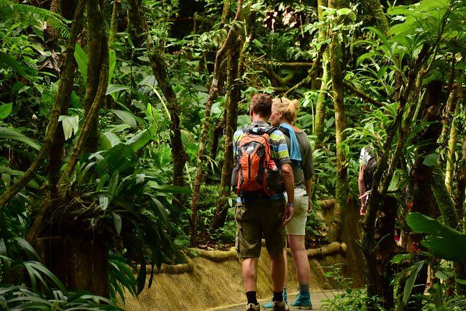 La Fortuna Waterfall Park & Farm to Table Lunch - Pickup and Meeting Location