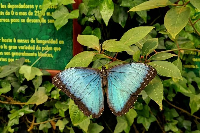 La Paz Waterfall Gardens Nature Park Full-Day Tour - Inclusions and Pickup Information