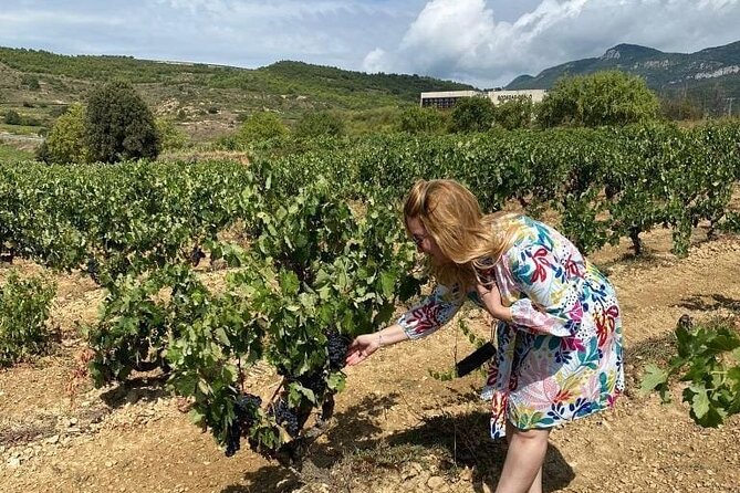 La Rioja: Wine Cellars and Laguardia Private Tour  - Pamplona - Tour Details