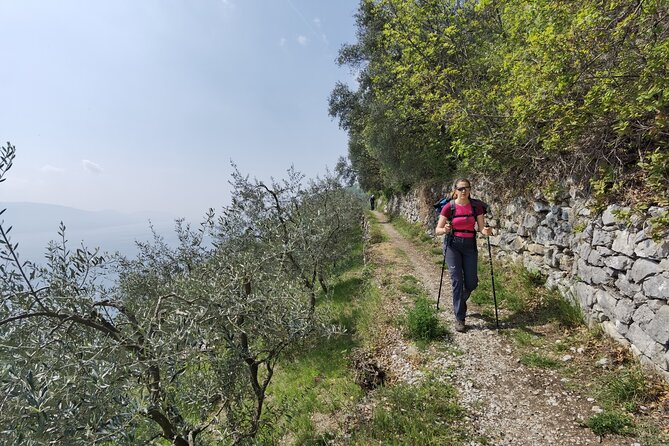 Lake Garda: One Day Private E-Bike Tour - Whats Included