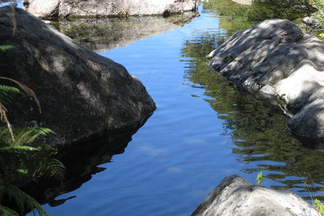 Lakes of Madeira- Alecrim Full Day Walk - Identifying Diverse Flora and Fauna