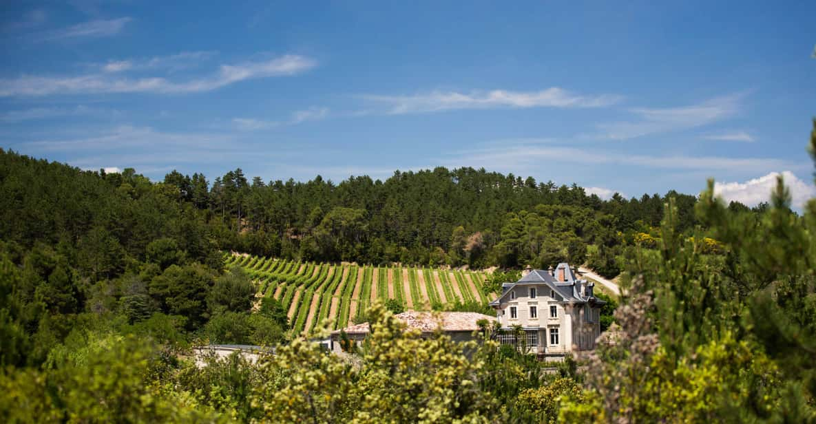 Languedoc: Heritage Tour & Tasting at Domaine De Baronarques - Pricing and Reservations