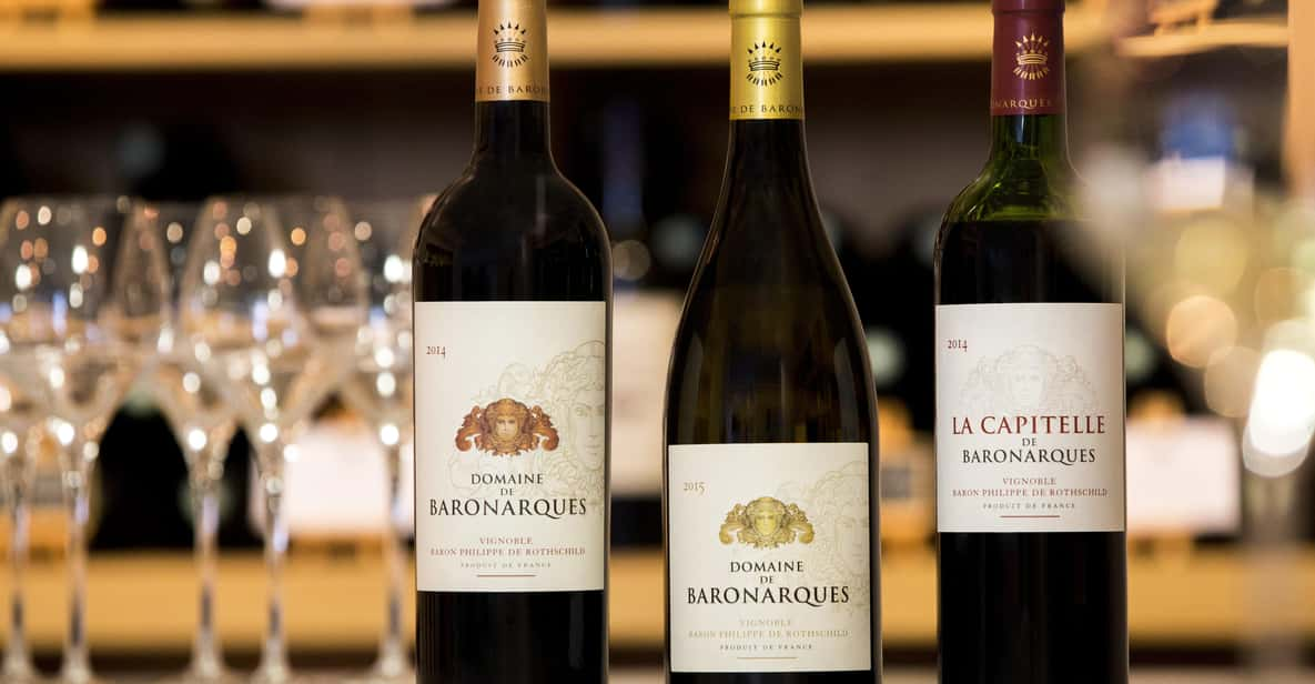 Languedoc: Terroir Tour & Tasting at Domaine De Baronarques - Vineyard Experience