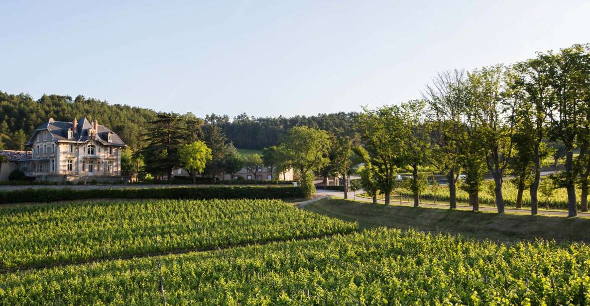 Languedoc: Tour and Tasting at Domaine De Baronarques - Experience Highlights