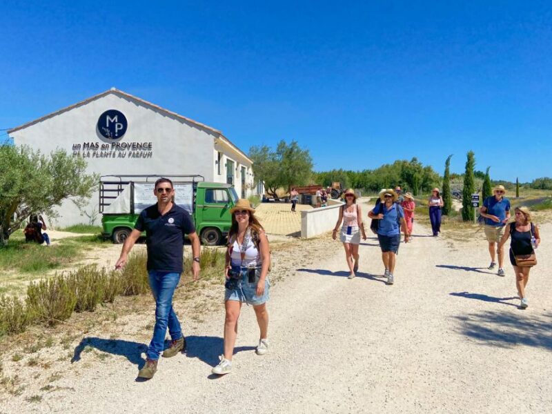 Lavender Field & Distillery Tour Between Nimes & Arles - Experience Highlights