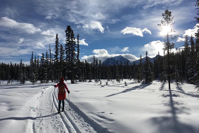 Learn to Cross Country Ski in Lake Louise - Inclusions and Pricing
