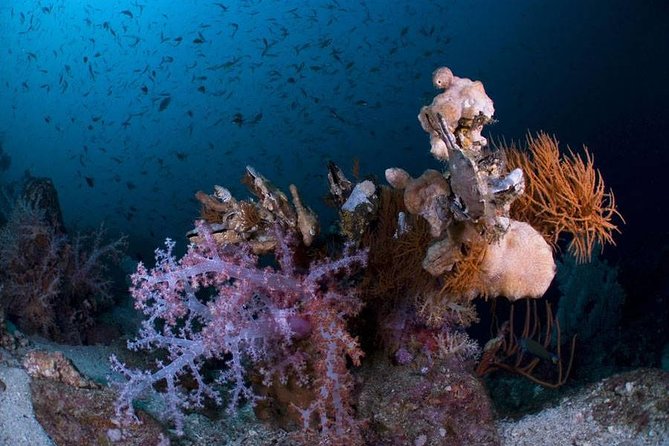 Learn to Dive in 2 Days Scuba Diver Course - Course Inclusions