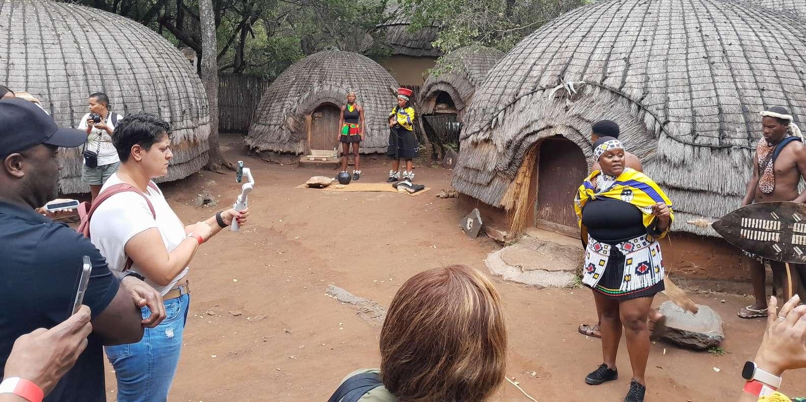 Lesedi Cultural Village and Lion Park Private Tour - Itinerary Highlights