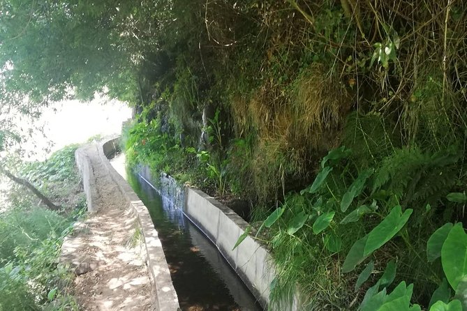 Levada Serra D'Agua - Experience Highlights