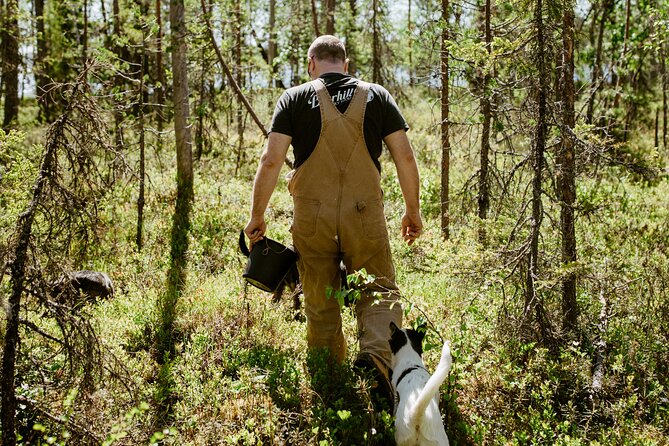Living off the Land, Foraging Tour in Rovaniemi - Meeting and Pickup