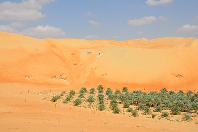 Liwa Full Day Desert Safari From Abu Dhabi - Exciting Activities Included