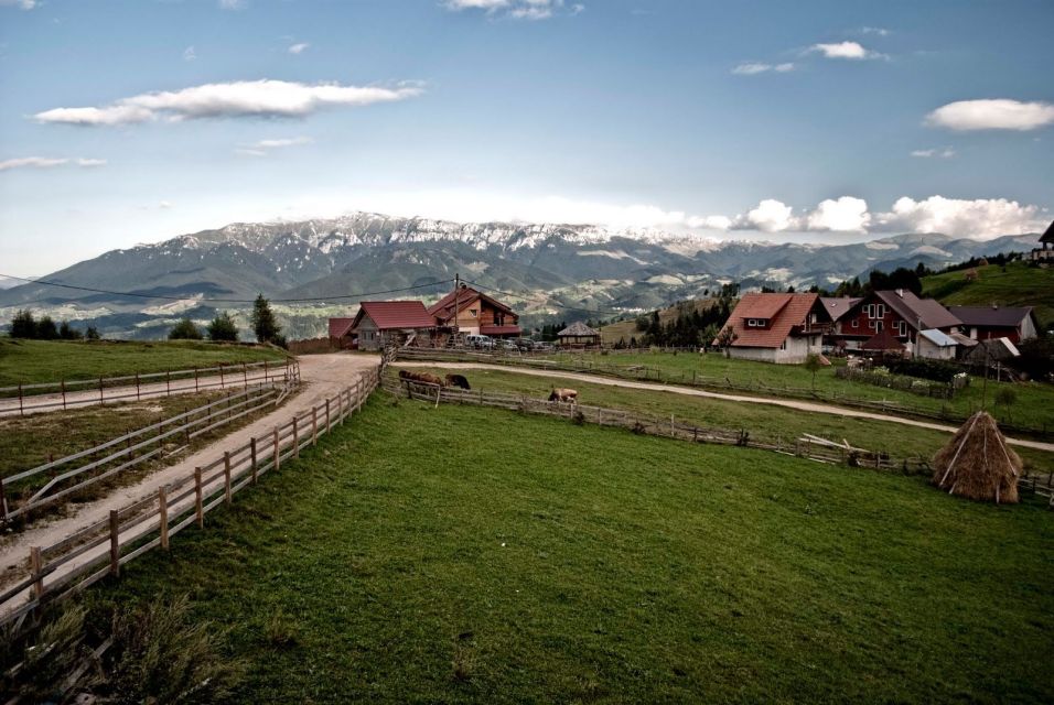 Local Experience in Brasov and Its Surroundings - Highlights of Key Destinations