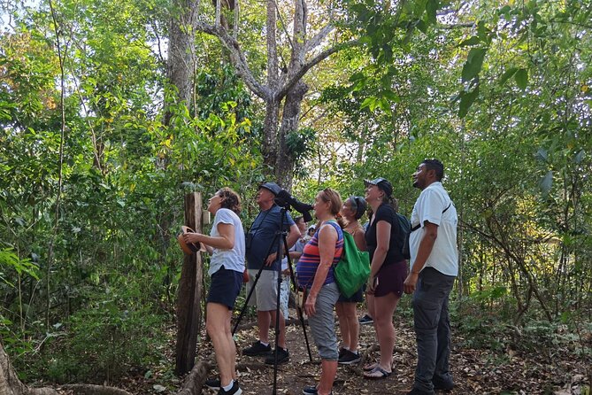 Local Sightseeing & Mangrove Tour - Included in the Tour