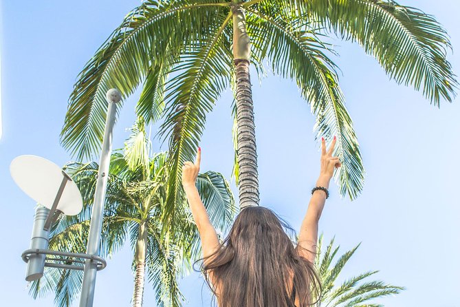 Los Angeles Half-Day Tour - Downtown, Hollywood, Rodeo Drive, Farmers Market - Meeting and Pickup Details