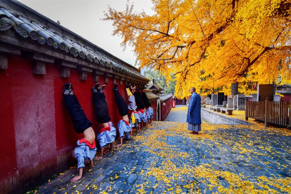 Luoyang Private Day Tour Longmen Grottoes Shaolin Temple - Booking Information